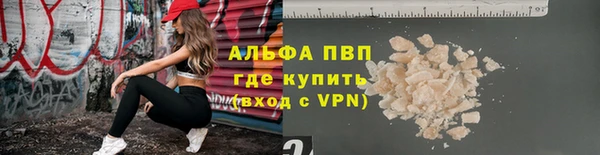 прущие грибы Абаза