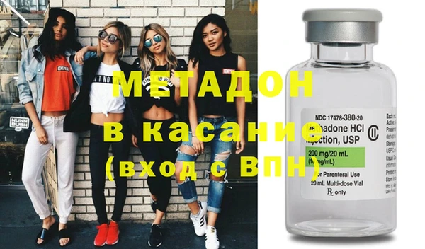 прущие грибы Абаза