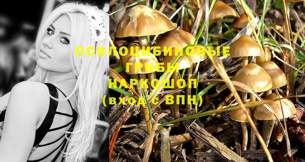 Альфа ПВП Нягань