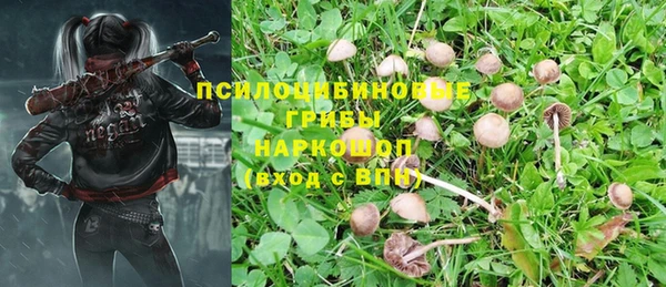 apvp Абдулино