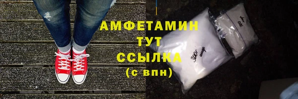 прущие грибы Абаза
