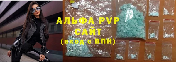 прущие грибы Абаза