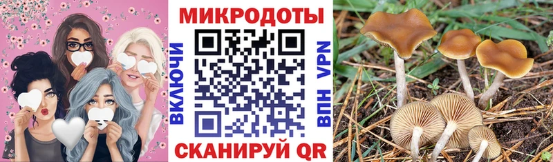 закладка  блэк спрут онион  Галлюциногенные грибы мицелий  Усмань 
